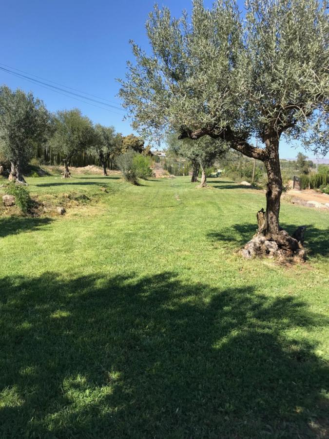 Oasis Country Park Hotel Rugat Buitenkant foto